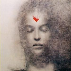 Landscapes. Declinazioni in giallo e in verde