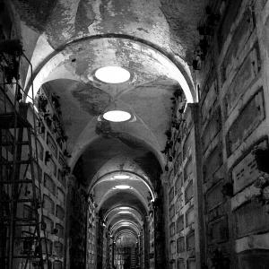 "ARCHITECTURE" MOSTRA FOTOGRAFICA "ARCHITECTURE" MOSTRA FOTOGRAFICA