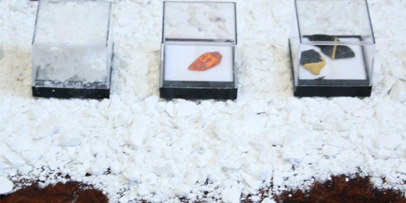 That Is Why Flower Blooms 