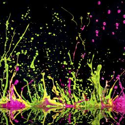 studio23fotografia studio23fotografia