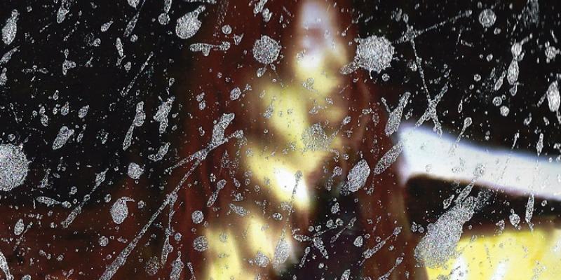 ANNELIES STRBA AND ADRIAN SCHIESS: COLLABORATION