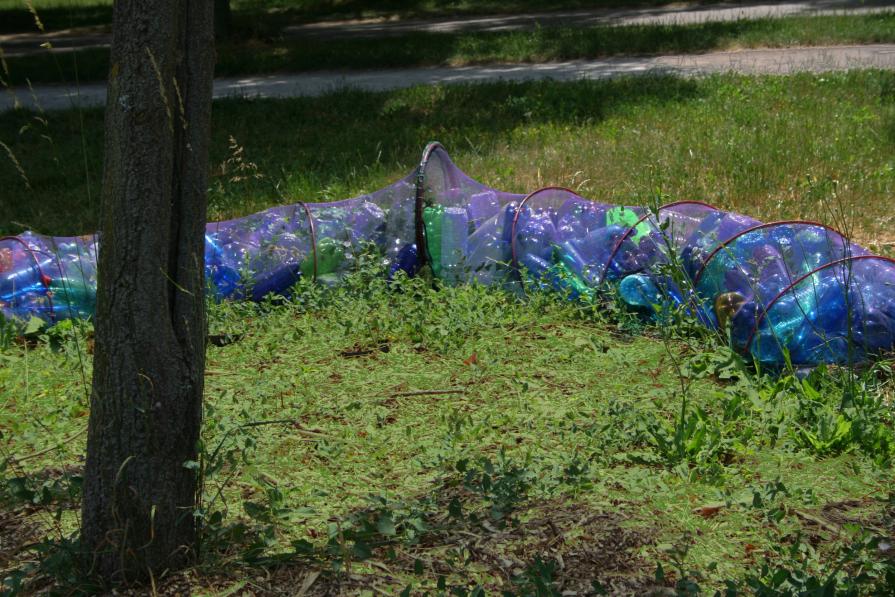 Dalla raccolta alla semina 5