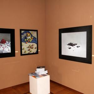 Natura:Luci e Ombre a Modena.