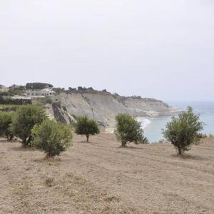 Scala dei Turchi White Wall Scala dei Turchi White Wall