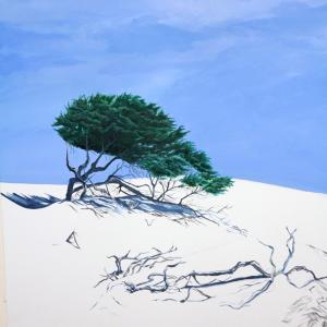 Palazzo Ducale di Revere dal 1° Luglio.