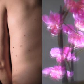 e che la vita nasca Da nient'altro  Che sogno.