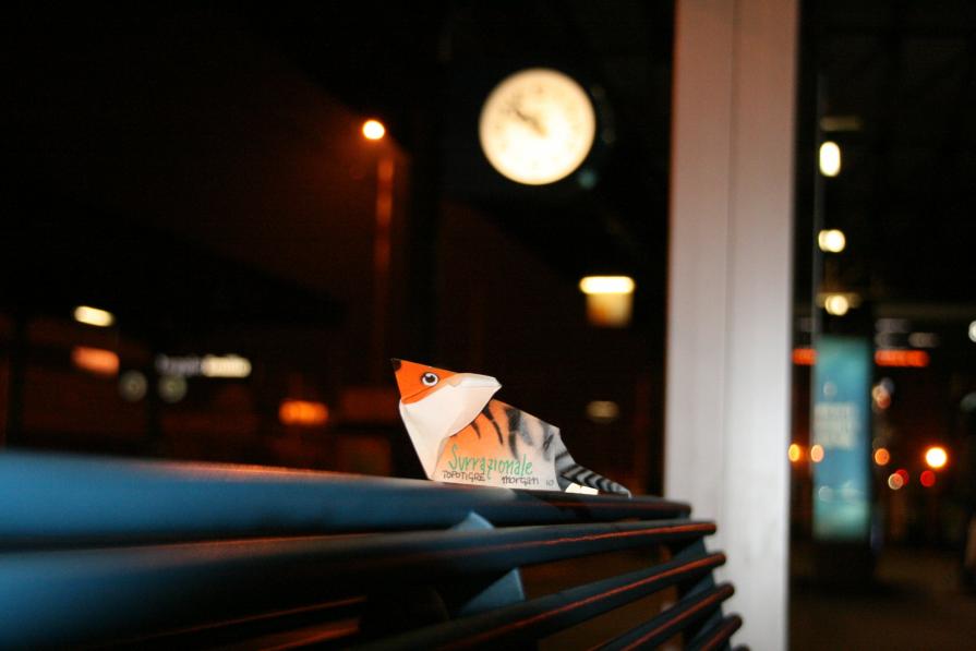 topotigre invasion topotigre invasion