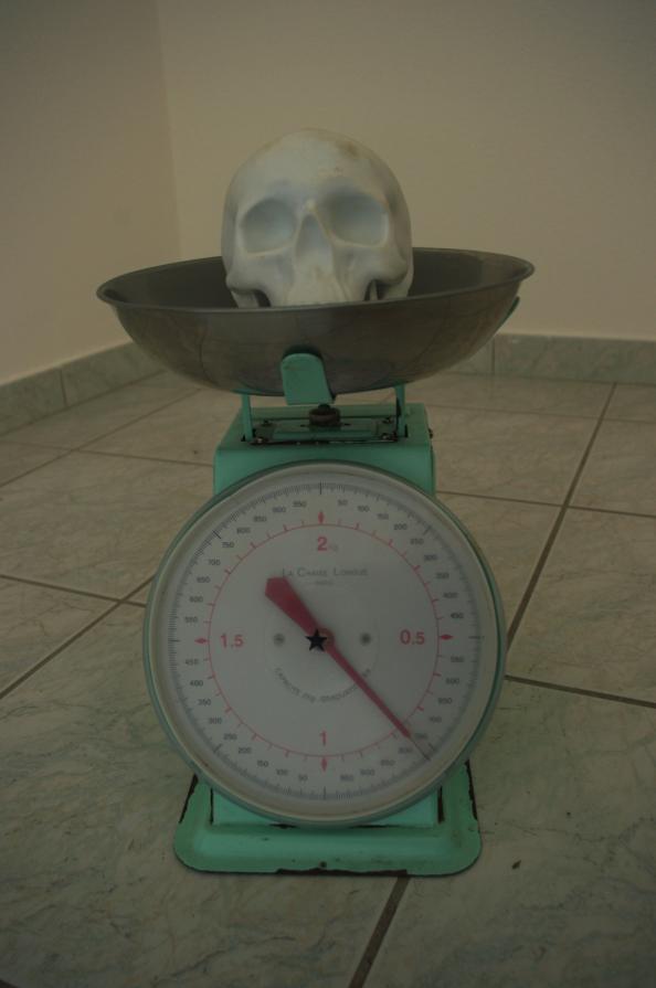 The Unknown Necessity The Unknown Necessity