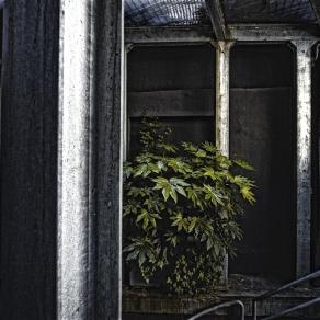 i (non) luoghi #6 i (non) luoghi #6