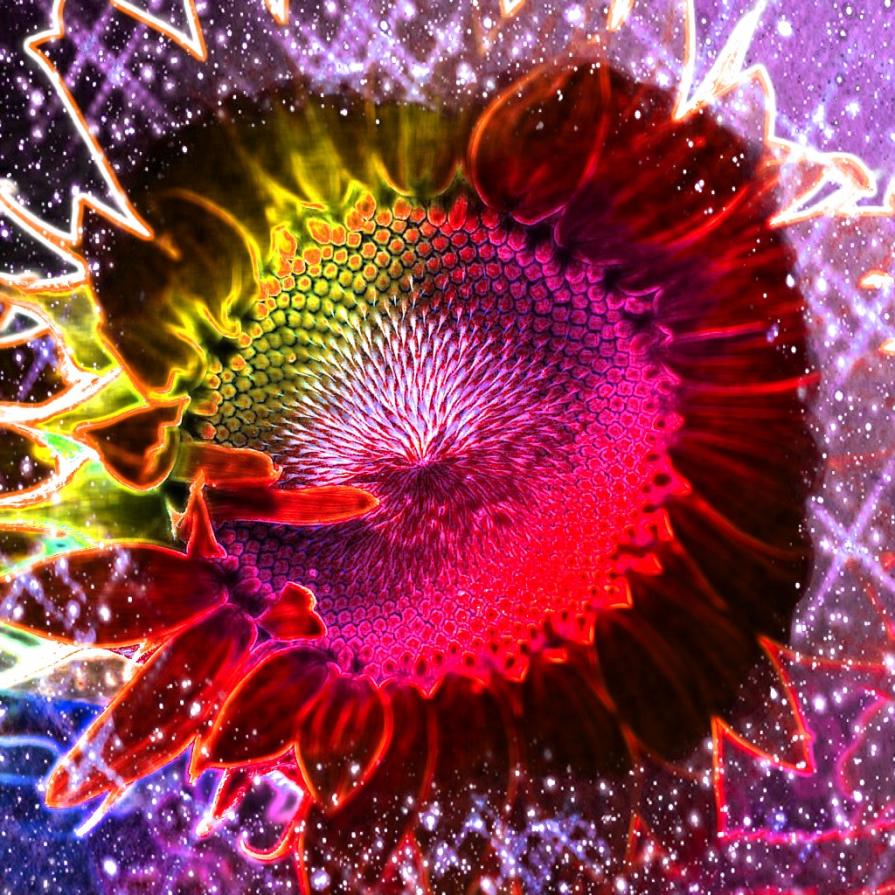 ...IO AMO CANTARE !!!... ...IO AMO CANTARE !!!...