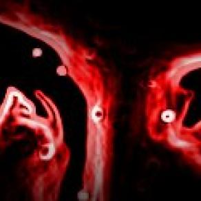 no alla violenza sulle donne