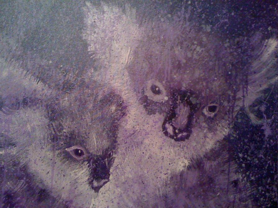 Loala mamy e cucciolo