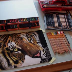 Tiger, color processing ....