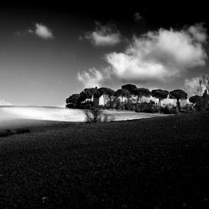 Memories of a summer