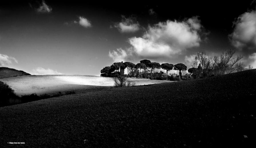 Memories of a summer