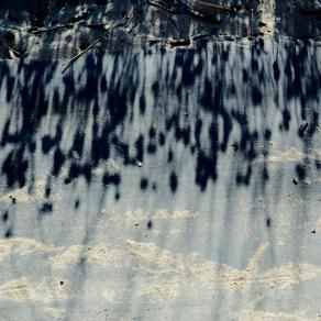 Tears of joy for this beatiful life