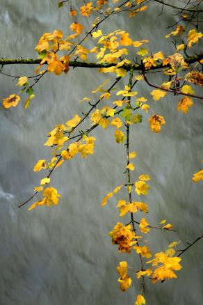 Al di là del flusso   ( Above the flow ) 