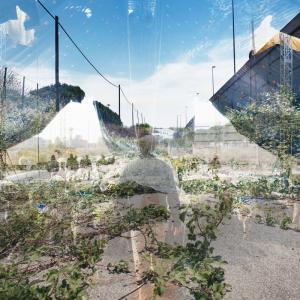 from the series "Horizon" from the series