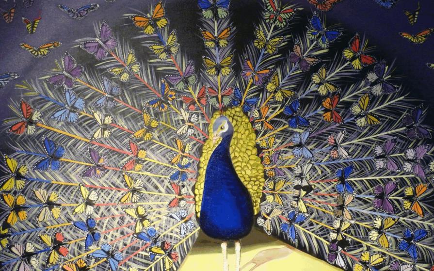 Splendid peacock / Pavo espléndido