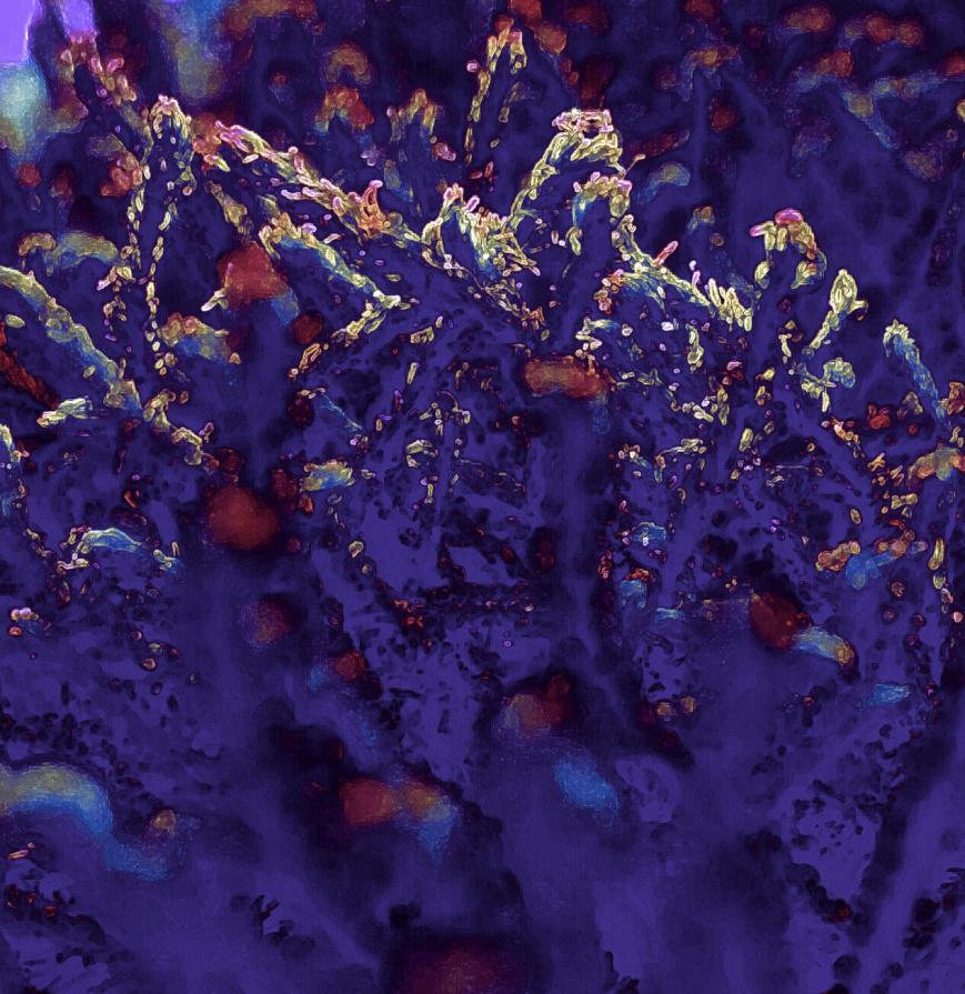 Groviglio di Luce e Tenebra