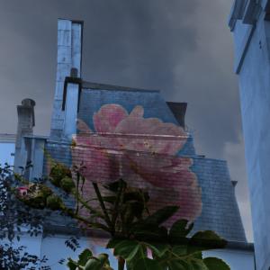 Architecture and flowers: a city idyll