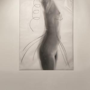 Plastic Bag Plastic Bag