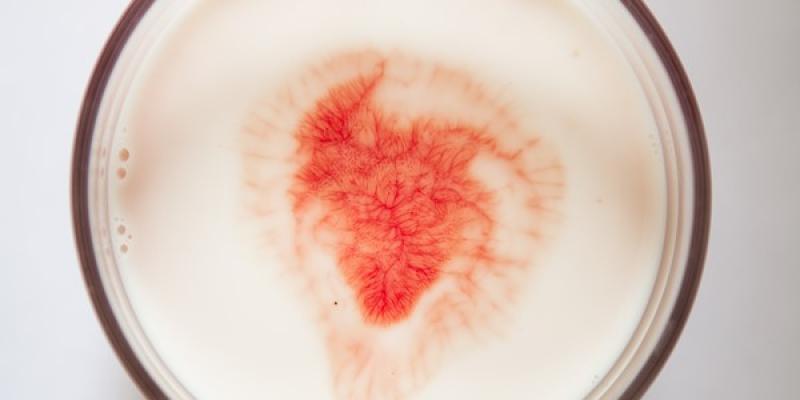 Silvia Bigi, L'albero del latte