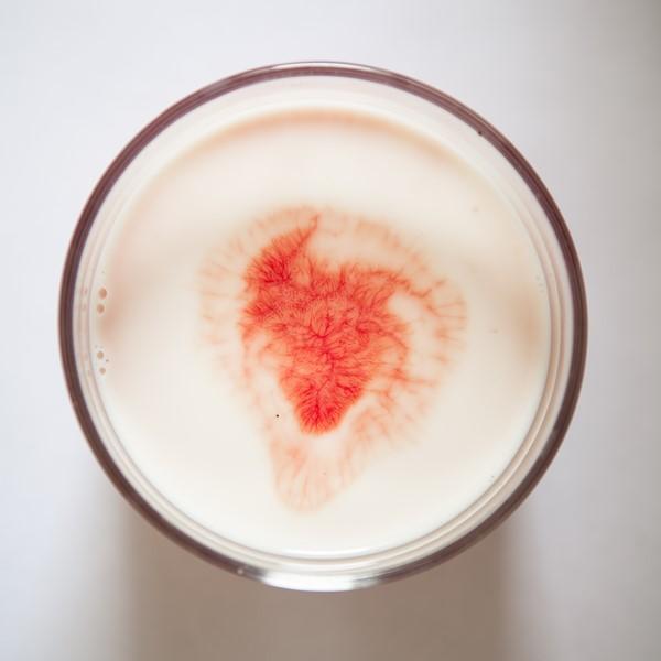 Silvia Bigi, L'albero del latte Silvia Bigi, L'albero del latte