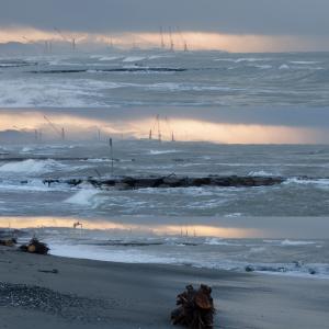 Premio Primal Energy 2011