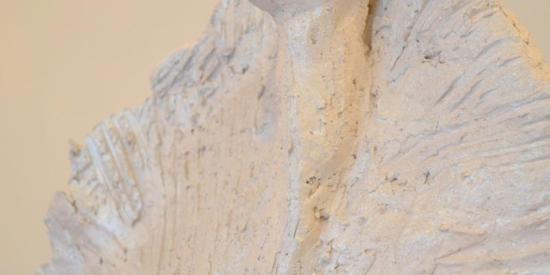 Museo di Cà la Ghironda