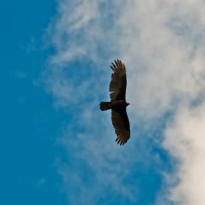 Honduras. limiti Honduras. limiti