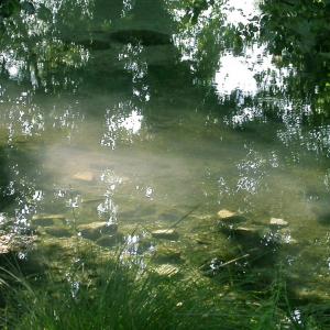 Macedonia. Bizantinismi dimenticati