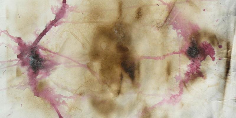 Le allusioni della materia