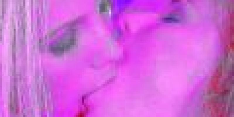 serendipity serendipity