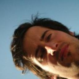 the guinea pig collective