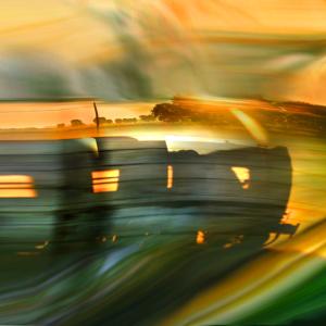 amsterdam whitney gallery