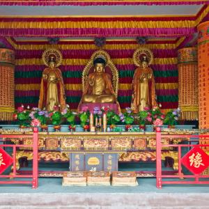 China. Shanghai. Contrasti tra nuovo e antico 1/2