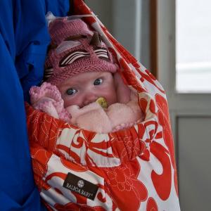 USA. Alaska 1/3. Forme di vita