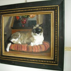 Altra Natura a Revere (mn)