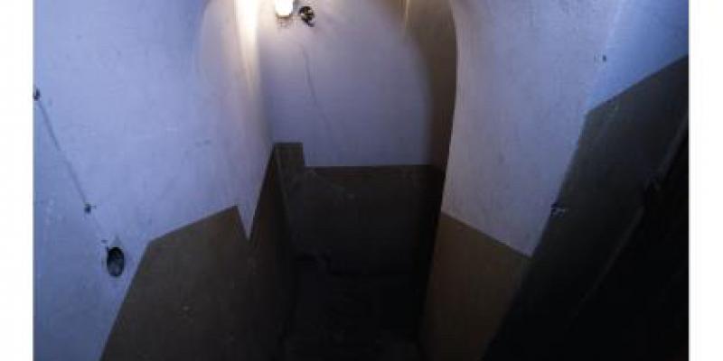 "7 X 7" il Sottobosco di Brera al LUMe