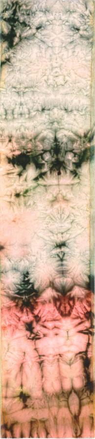 Il Principio della Manifestazione