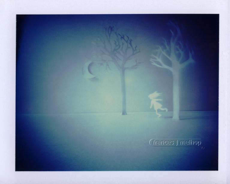 moonlit night in the scary dark forest