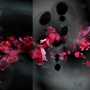 queste prime traccie del viaggio