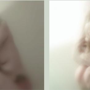 WILD ROSES AND A WHITE FAKE HAND