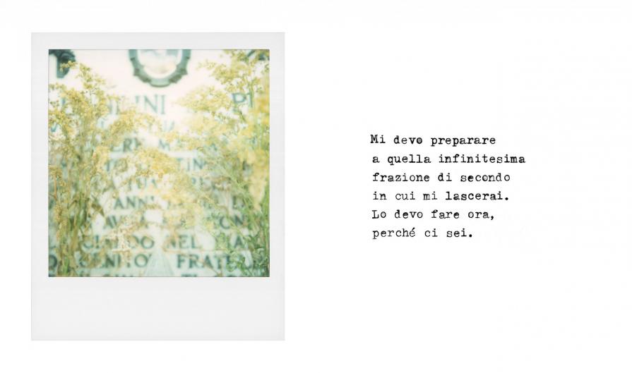 "Tomba" dalla serie Convivenze