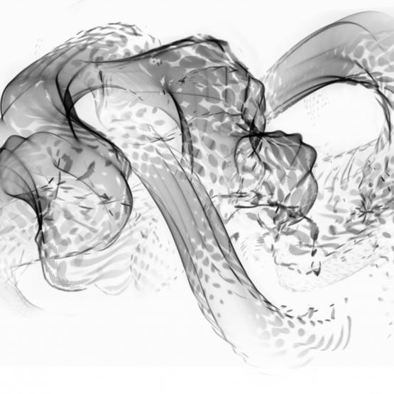 Something Nasty in the Garden