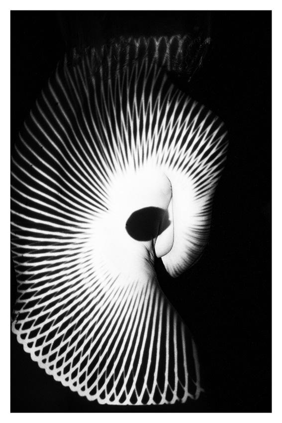 glamorous shadows glamorous shadows