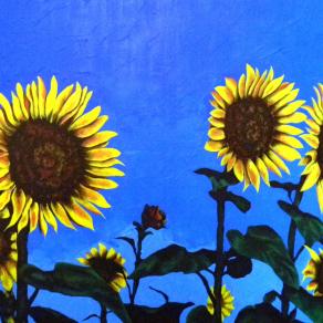 i girasoli di luglio