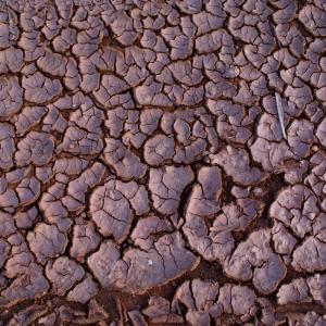 Dry earth