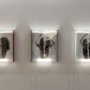 Luce che mi confonde